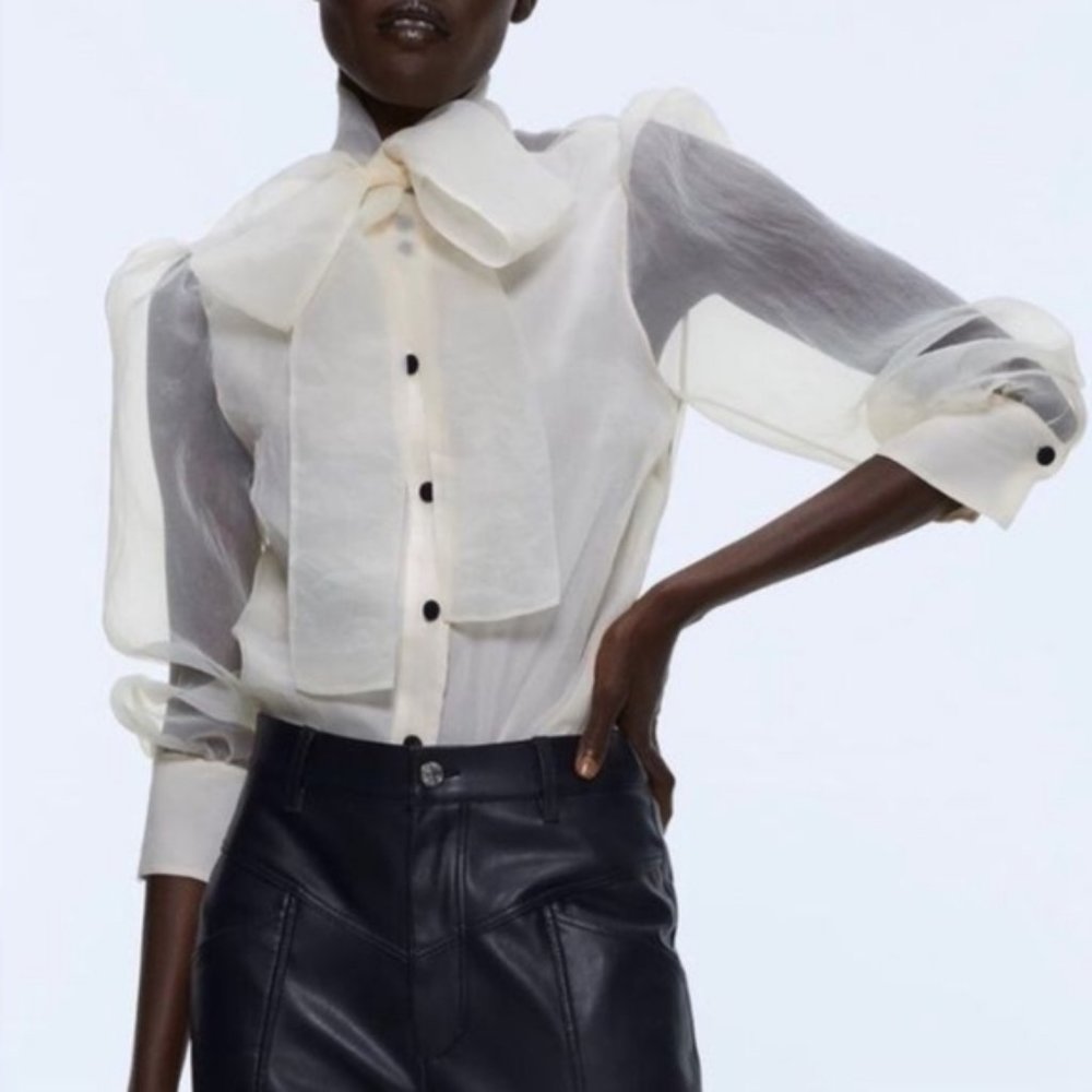 Blogger Favorite! Zara Cream Organza Long Sleeve Tie Neck Blouse Small